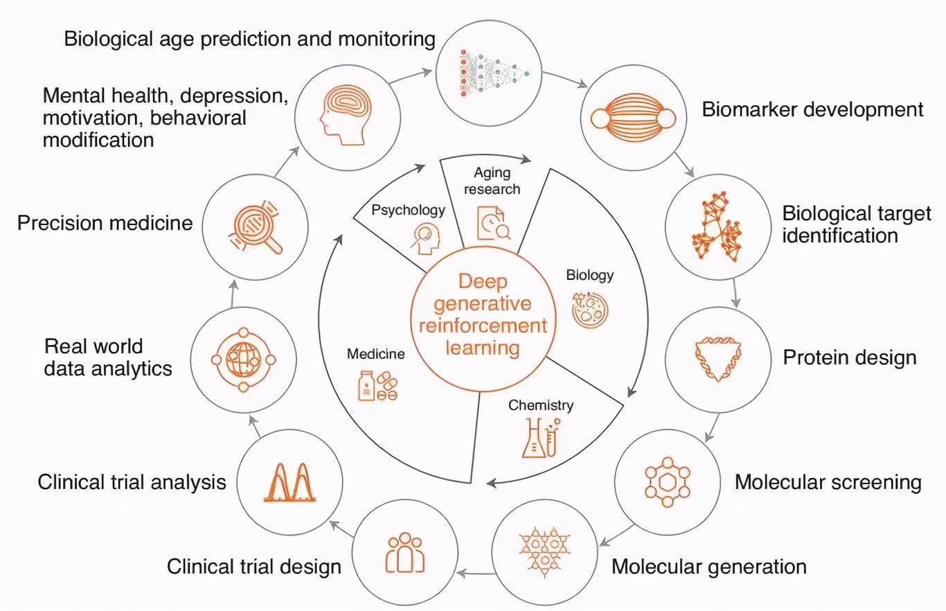 管家婆一肖一碼資料大全,深究數據應用策略_IQB50.315多功能版