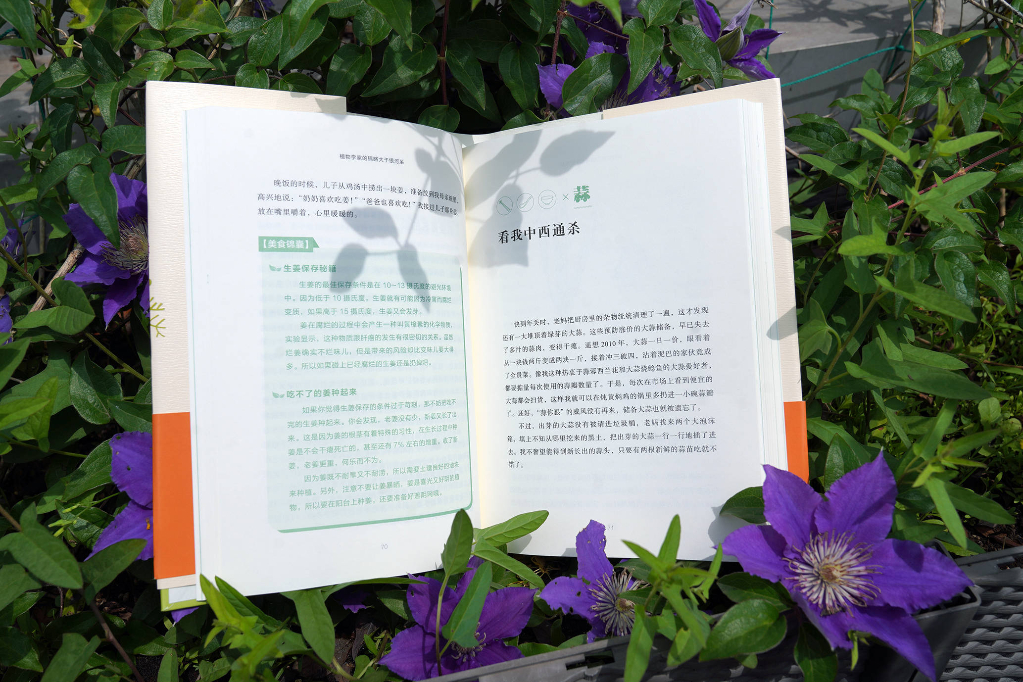 吹膜環評 第273頁