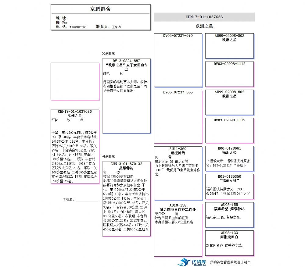 白小姐資料認證網讓199768com,高效執行方案_PER29.560極限版