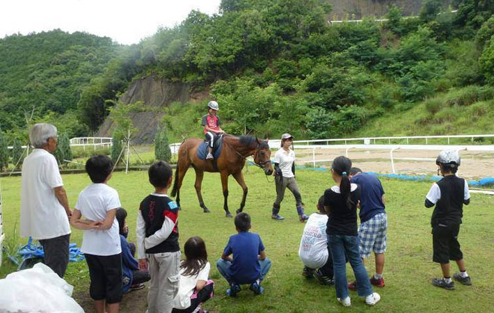 濠江論壇澳門資料大全,實(shí)地?cái)?shù)據(jù)驗(yàn)證_GSR50.818影音體驗(yàn)版