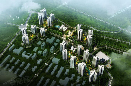 華巖新城最新動態(tài)，鄰里溫情日常揭秘