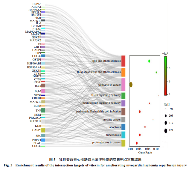 鐵算盤致力打造火熱全網(wǎng),物理學(xué)_QUH50.281網(wǎng)絡(luò)版