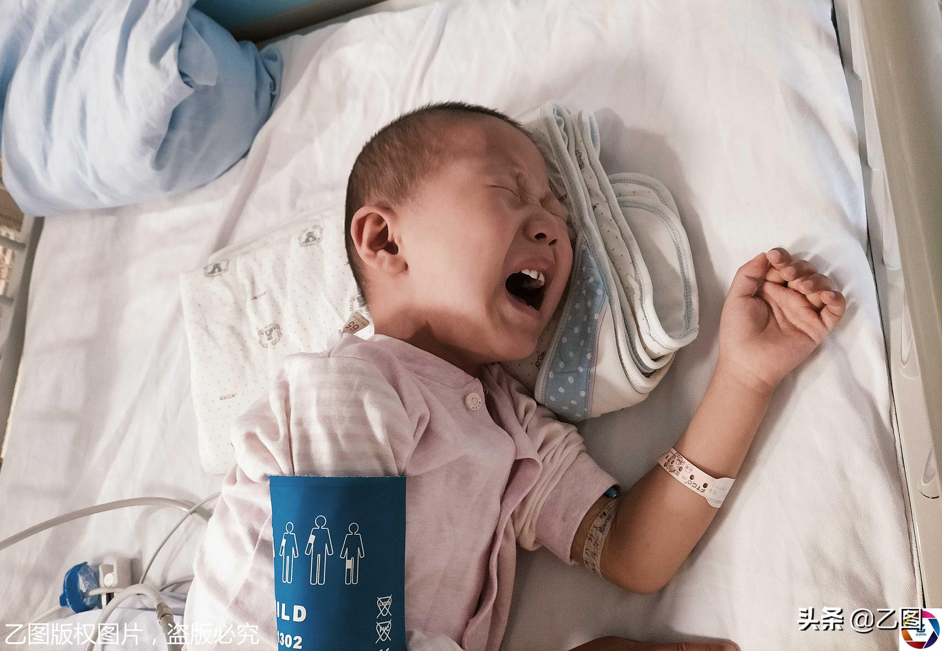 山東濰坊玉米最新價格