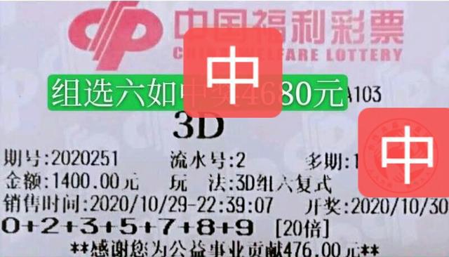 今天澳門天天彩免費版,實地驗證實施_ZWR50.212溫馨版