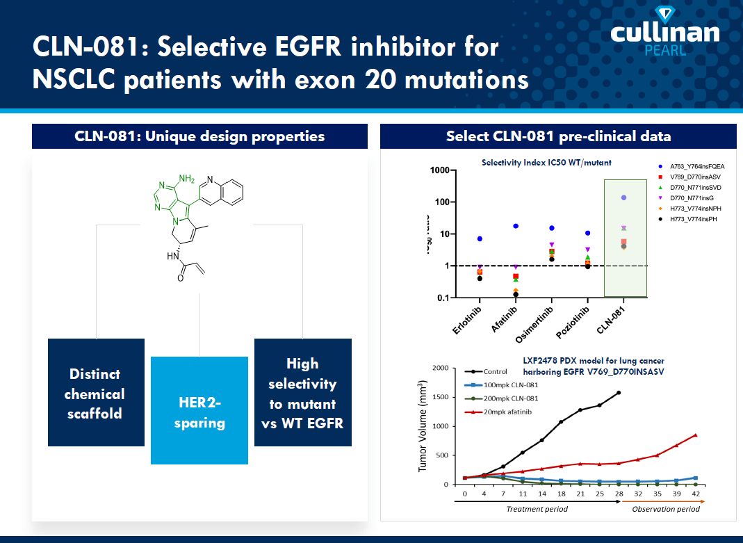 500tkcc新奧門中特鋼49049,執行驗證計劃_CUL29.384并行版