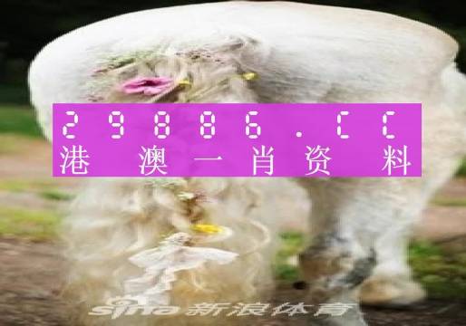 澳門(mén)四不像精準(zhǔn)一肖一碼,最新數(shù)據(jù)挖解釋明_YCL50.692時(shí)刻版