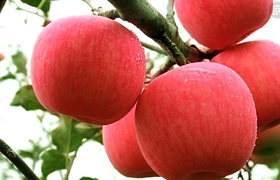 最新腸內(nèi)營養(yǎng)指南，正確應用腸內(nèi)營養(yǎng)支持的方法與建議