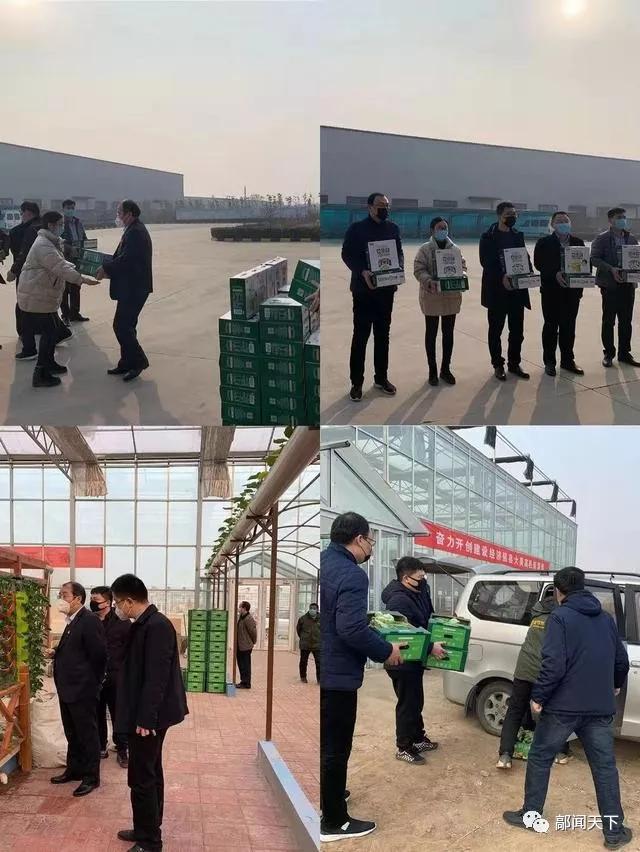 高邑蔬菜批發(fā)市場最新價格行情概覽