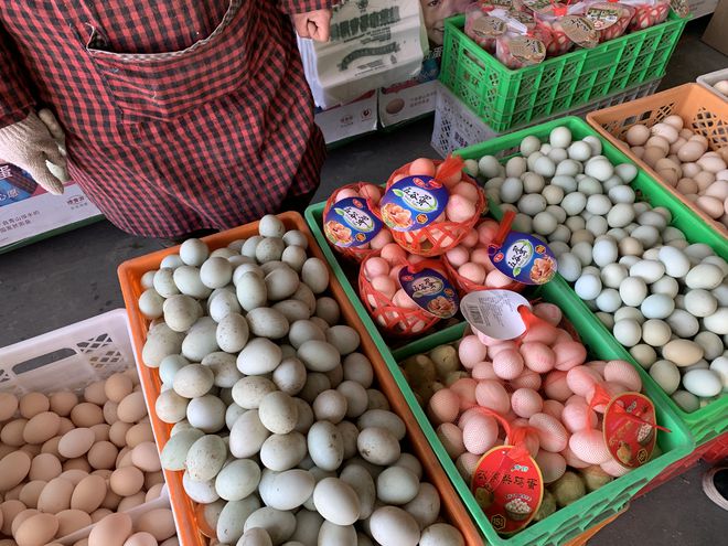 新發地雞蛋最新價格動態，變化中的學習助力自信與夢想的力量