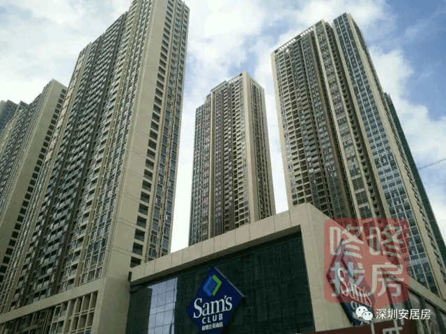 即墨公租房最新動態更新