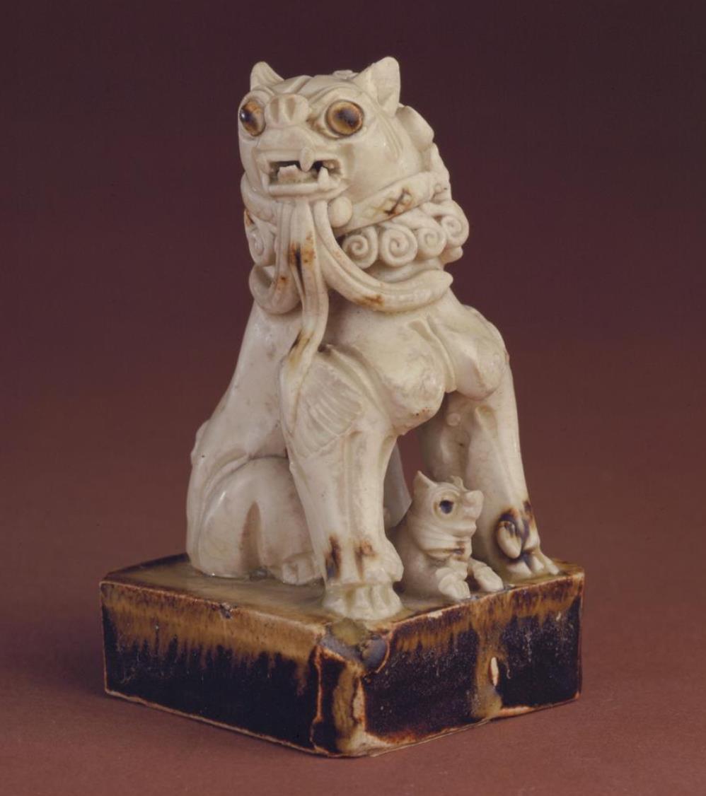 最新動物世界獅子視頻，自信與成就感的啟示