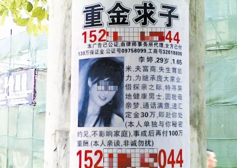 最新重金求子號碼揭秘，尋找內(nèi)心平靜的冒險(xiǎn)之旅