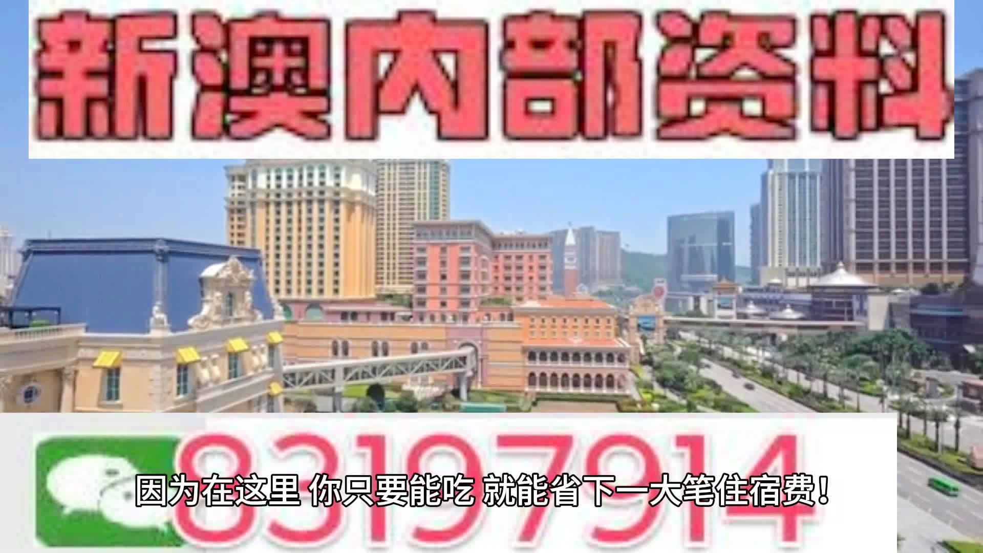 2024年新澳門王中王免費,統計信息解析說明_PHA49.750定向版