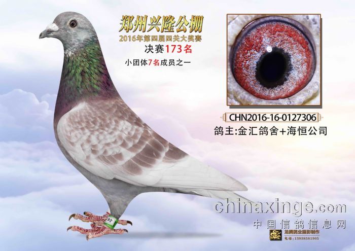 鄭州興隆公棚最新公告揭秘，賽事更新、規則調整及未來展望展望