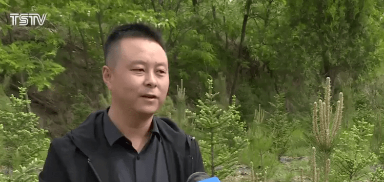 2024 新澳今晚資料,推動策略優化_HSQ49.178品牌版