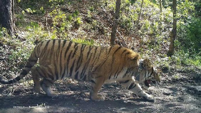 新澳歷史開獎結(jié)果近期十五期,科學依據(jù)解析_ZVV49.385按需版