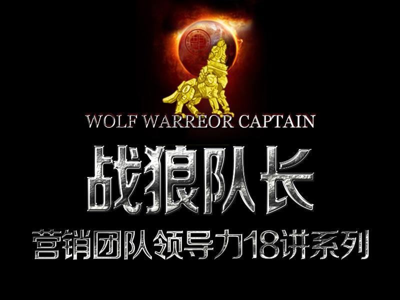 新澳戰狼團隊資料,專業解讀方案實施_OQS49.448開放版