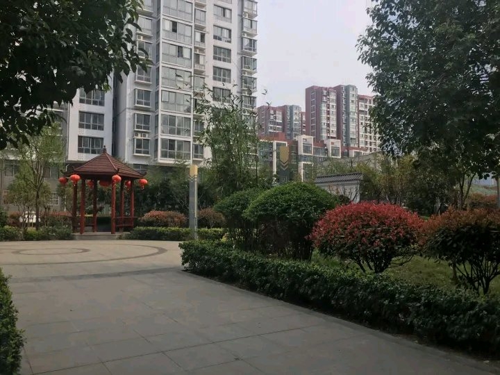 吸塑環評 第229頁