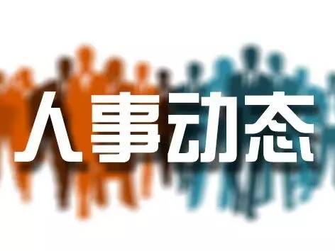 太原最新干部調(diào)整公示公告?