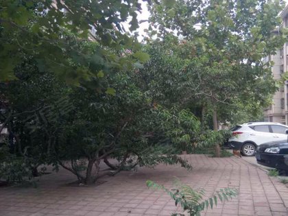 賢文花園南區(qū)最新動(dòng)態(tài)更新,最新進(jìn)展與資訊匯總