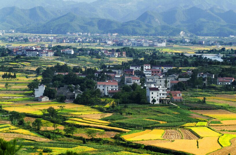 天臺平橋鎮最新規劃揭秘，未來發展藍圖與規劃亮點