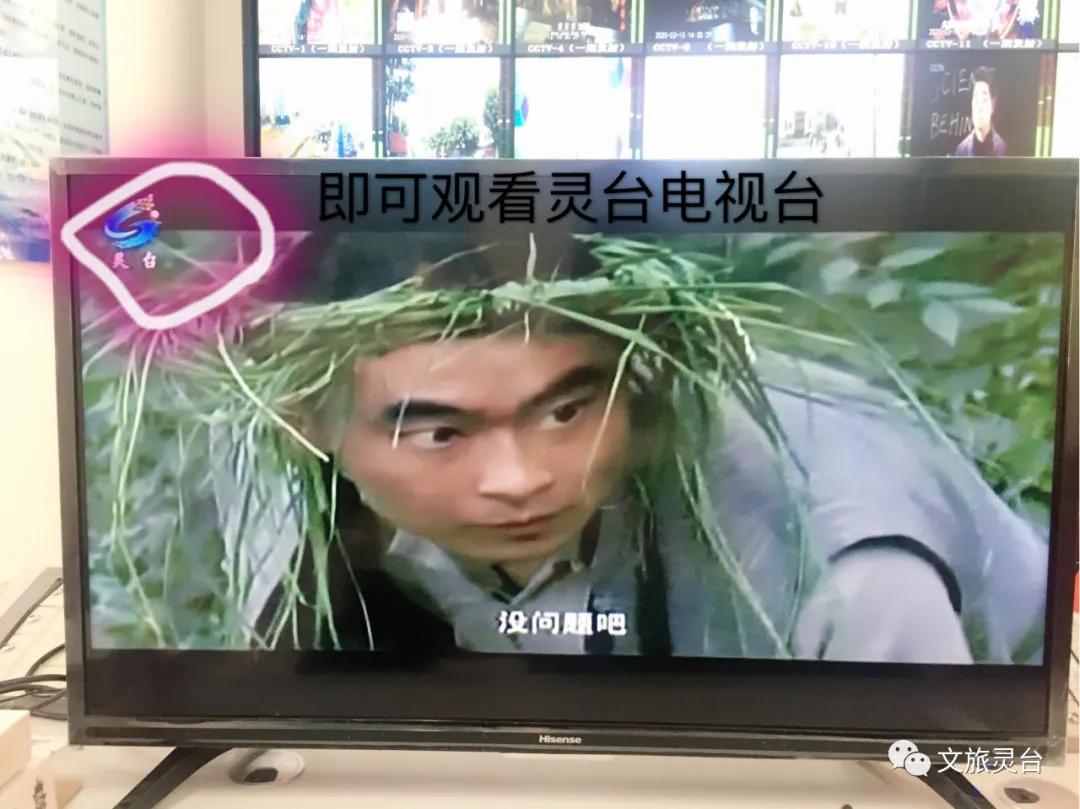 靈臺門戶網站最新留言匯總,滿滿干貨,絕對不容錯過!