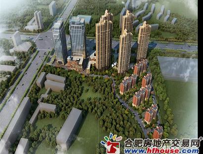 金色南郡最新動態,溫馨日常的趣事與友情故事