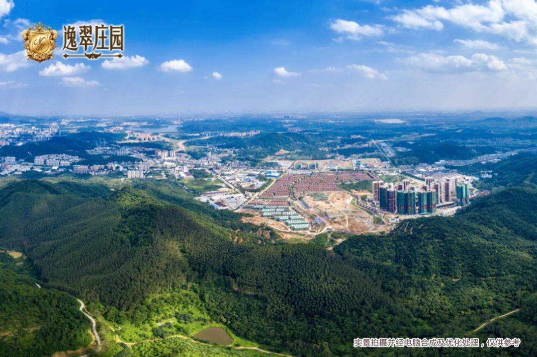 增城潘共恩的最新動態，勵志故事照亮希望之路