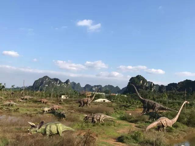 扶綏龍谷灣最新圖片——歡樂時光的日常故事展示