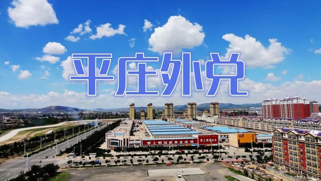 新縣西亞最新招聘信息，友情紐帶與職場奇遇的交匯點