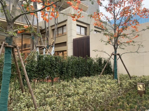 金融街壹號最新價,獲取與理解指南全解析