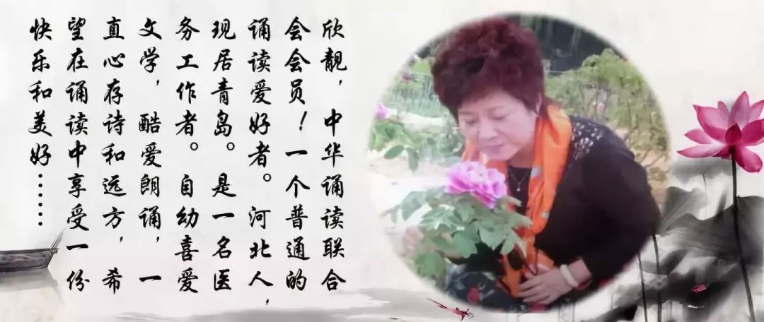 邊城浪子最新作品深度探究某觀點，深度剖析與解讀