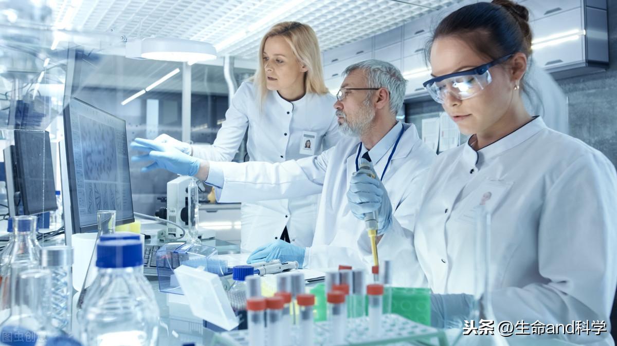 美國流感死亡人數(shù)最新數(shù)據(jù)（2024年觀點(diǎn)論述）