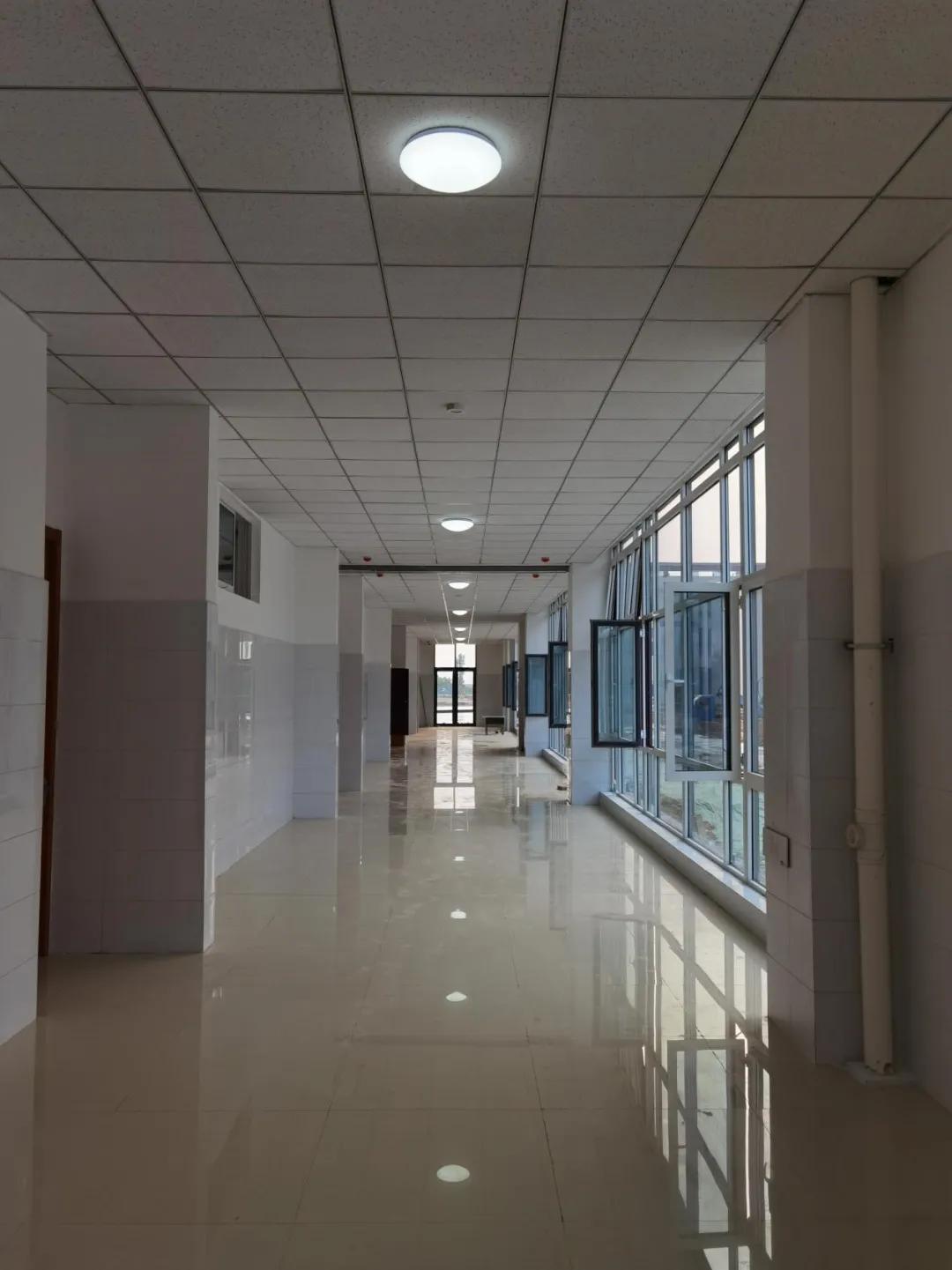 莘縣最新短期招聘信息,時代的脈搏與地方的脈動同步更新