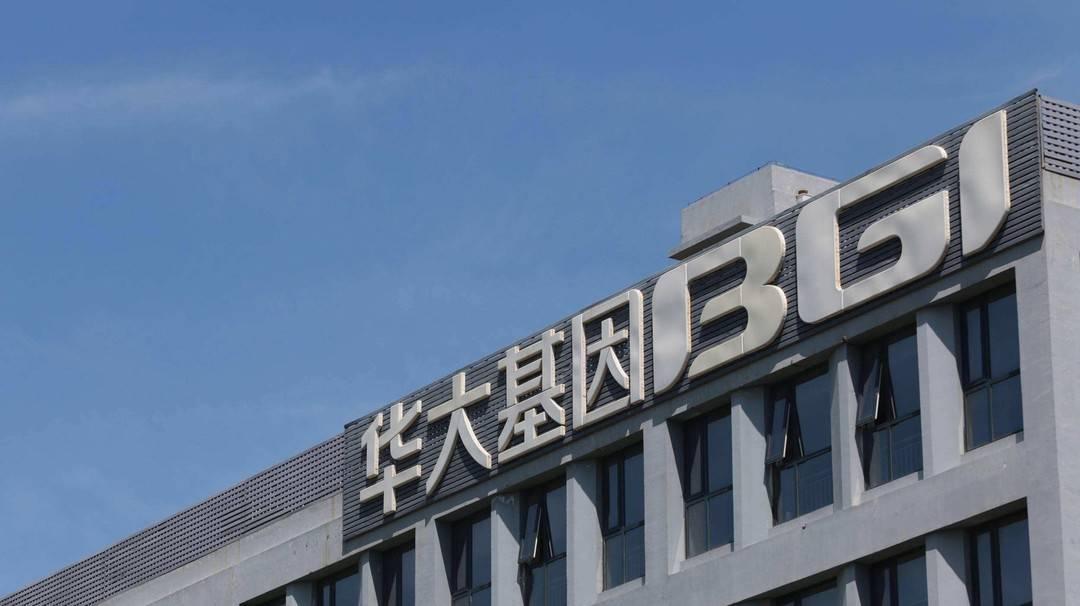 華大基因上市最新動態，基因之城的歡慶頌歌