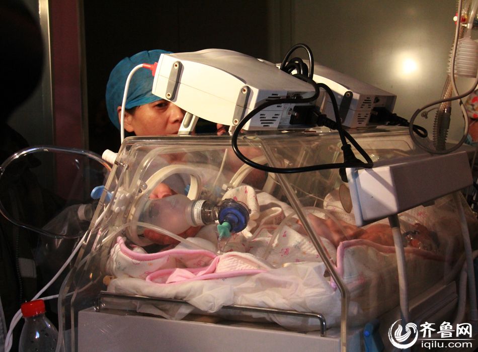 菏澤五胞胎最新動(dòng)態(tài)更新，家庭成長(zhǎng)新篇章