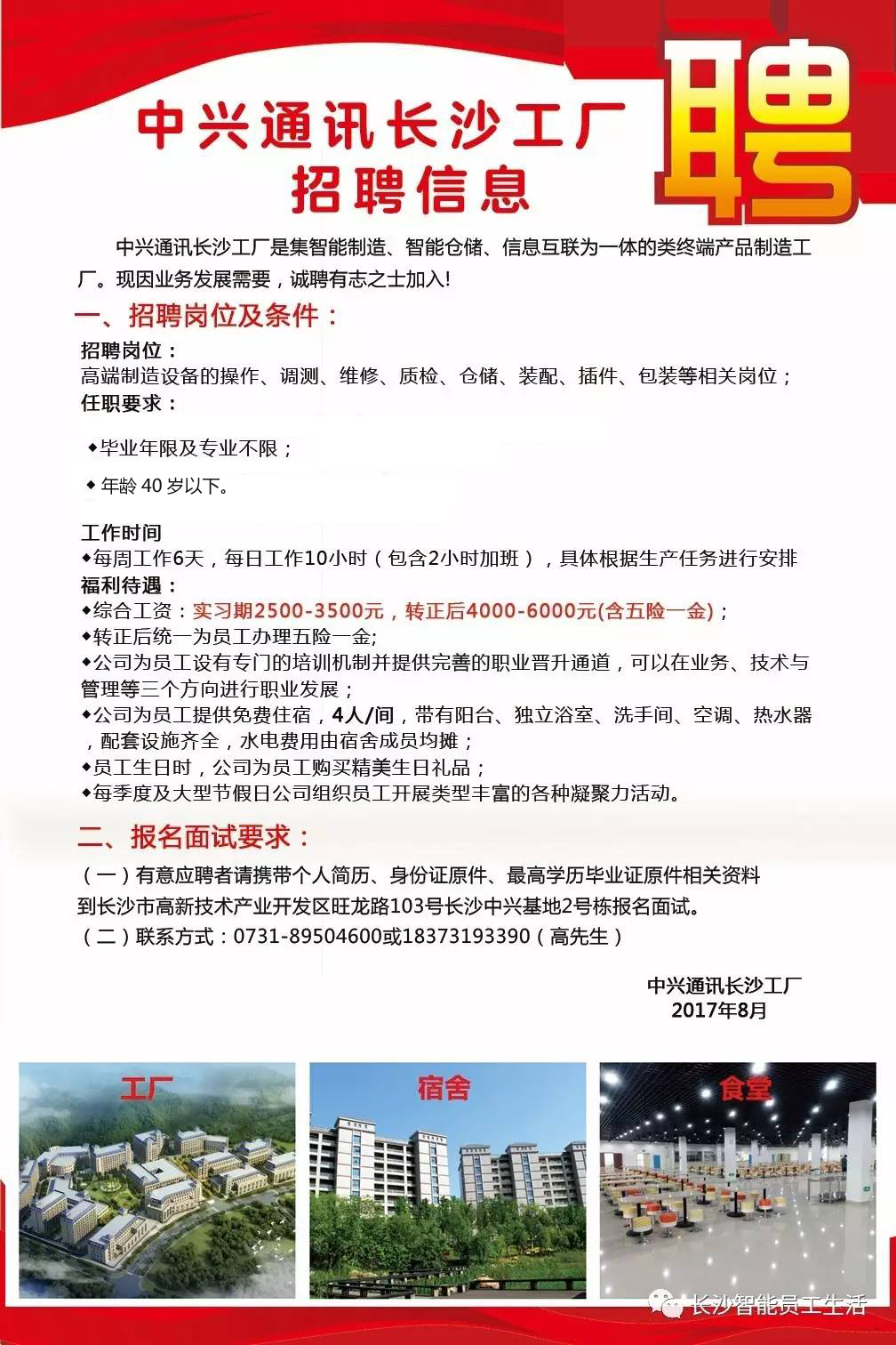 深圳中興最新招聘信息揭秘，職場小幸運的日常故事開啟招聘大門