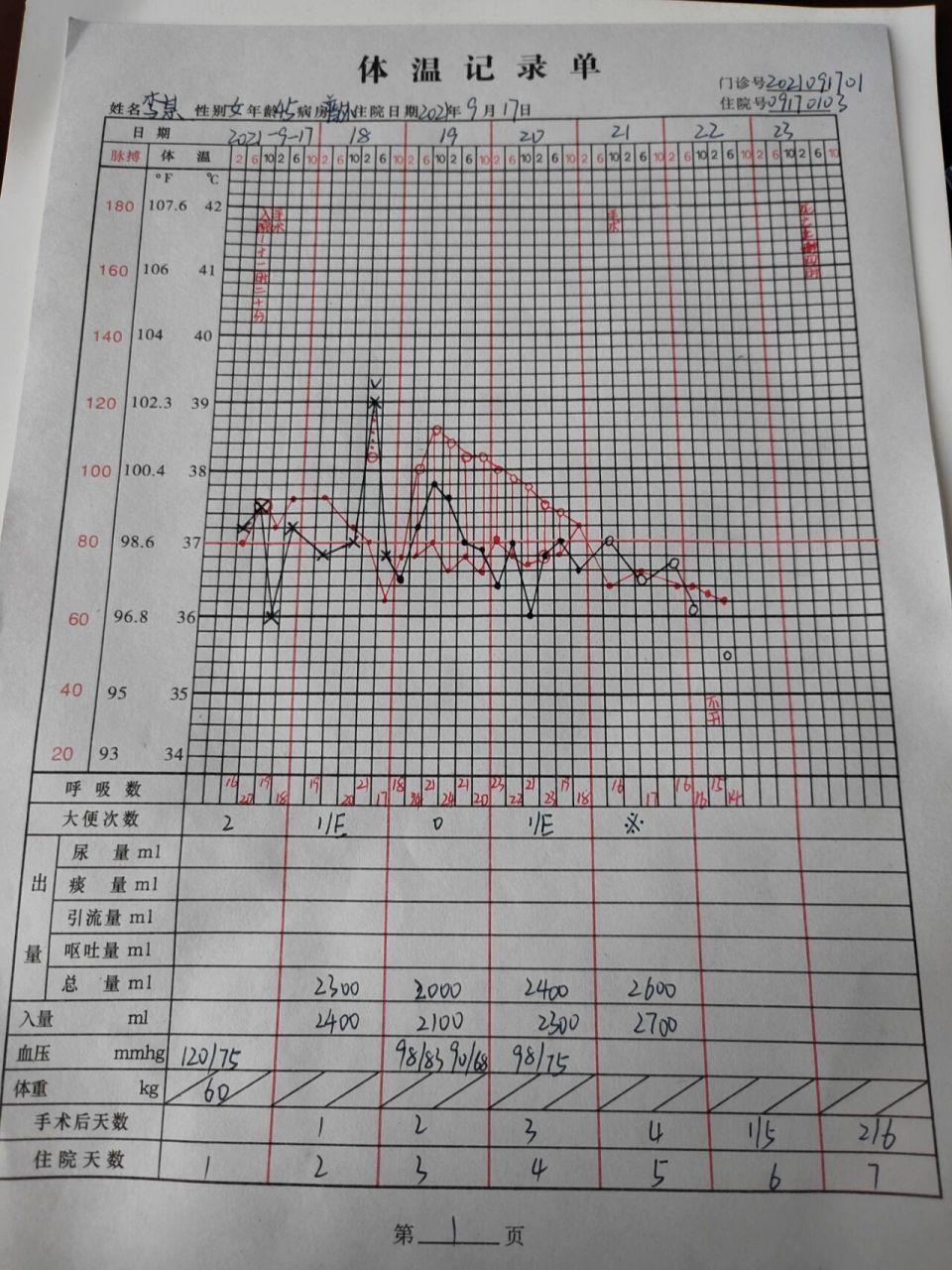 最新體溫單書寫規范詳解