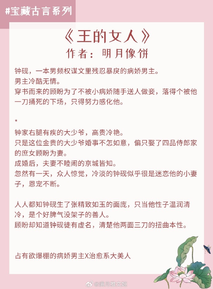 女尊世界的崛起，學習變化之力，2024最新女尊文流行趨勢