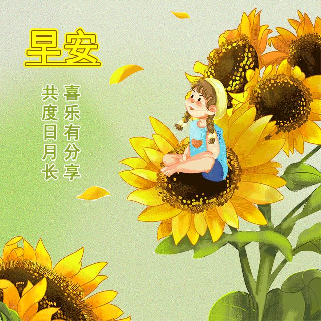 最新動態早上好圖，獨特日常問候方式