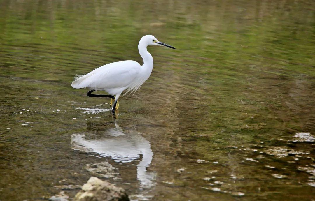 桐梓東站科技引領(lǐng)未來，全新高科技產(chǎn)品亮相亮相站