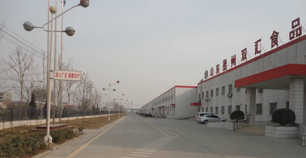 德州雙匯最新招聘信息，開啟職業(yè)新篇章，擁抱學(xué)習(xí)與變化的力量