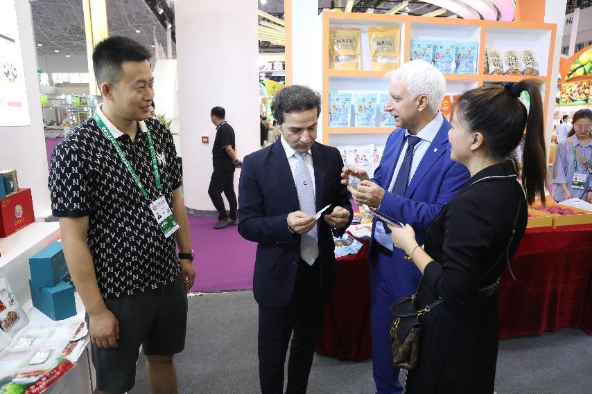 甘肅供銷社最新信息全解析，最新動態與指南