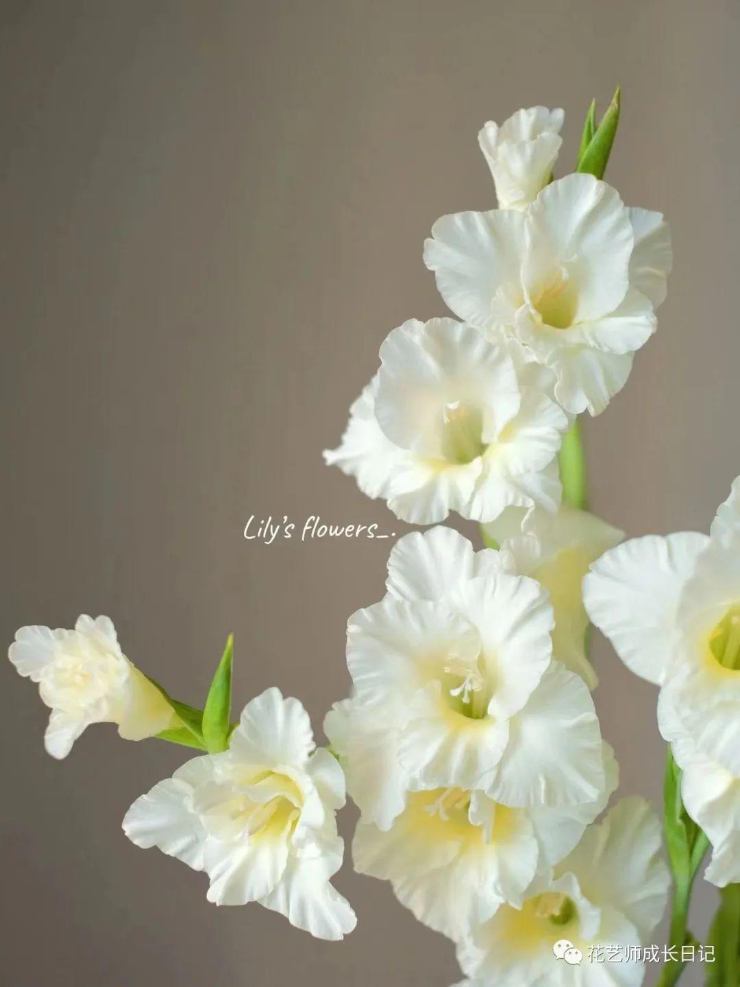 穿越火線黎明玫瑰最新刷法，奇妙冒險(xiǎn)之旅