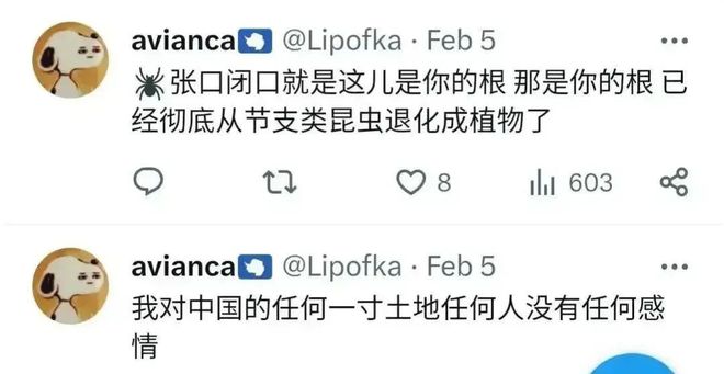 涉政話題,關于中國高干子女名單的解讀與個人成就的探討
