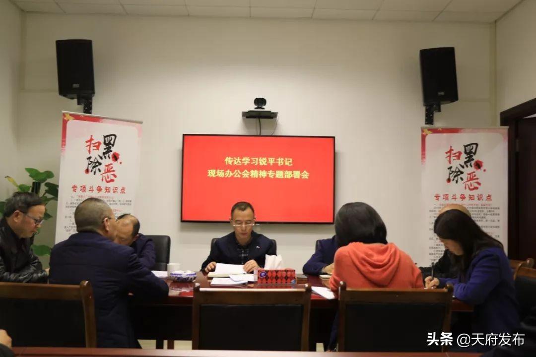 成都直管區最新動態，一種觀點的深度分析與闡述