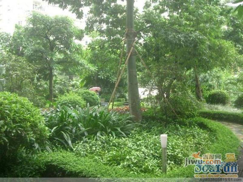 武陟華夏新城崛起與蛻變，最新動態揭示一座城市的蓬勃發展