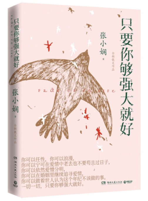 張小嫻竇斌最新章節深度解析，人物關系及其影響