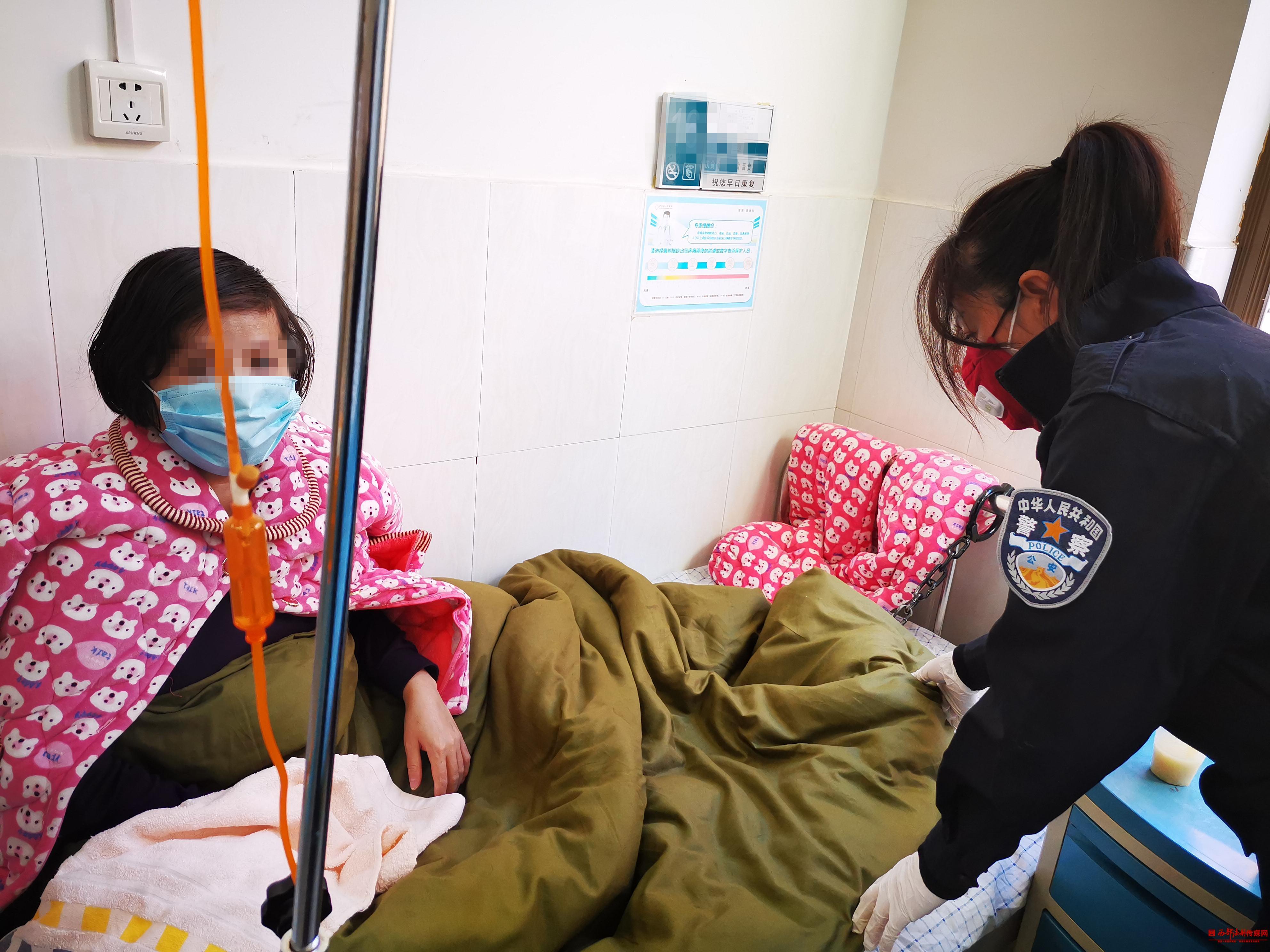 吳定高速最新情況詳解，最新進展與指南