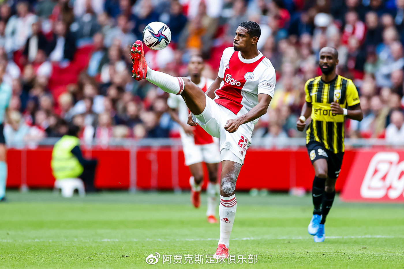 荷甲維特斯最新戰況速遞